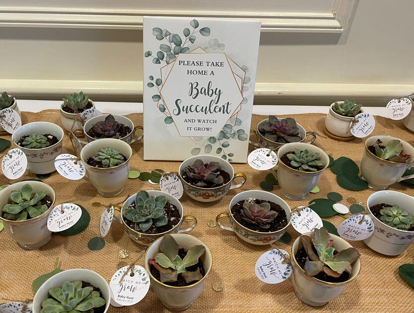 Baby succulent favors planted in vintage teacups